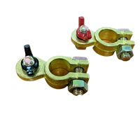 MATSON Positive & Negative Brass Wingnut Battery Terminals