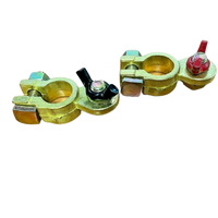 MATSON Positive & Negative Brass Wingnut Battery Terminals