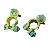 MATSON Positive & Negative Brass Wingnut Battery Terminals